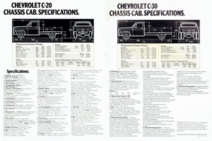 1977 Chevrolet Light Trucks (Aus)-10-11.jpg